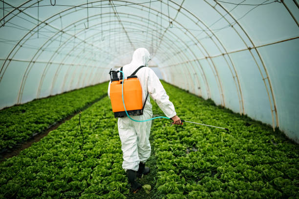 Best Local Pest Control Services  in Clendenin, WV
