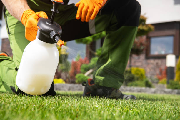 Best Affordable Pest Control Services  in Clendenin, WV