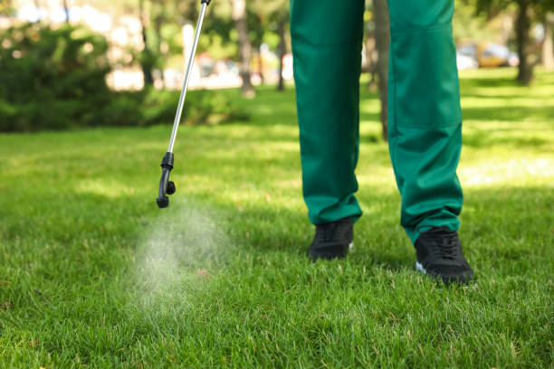 Best Pest Inspection Near Me  in Clendenin, WV