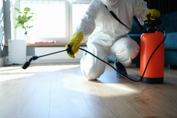 Best Pest Removal Services  in Clendenin, WV