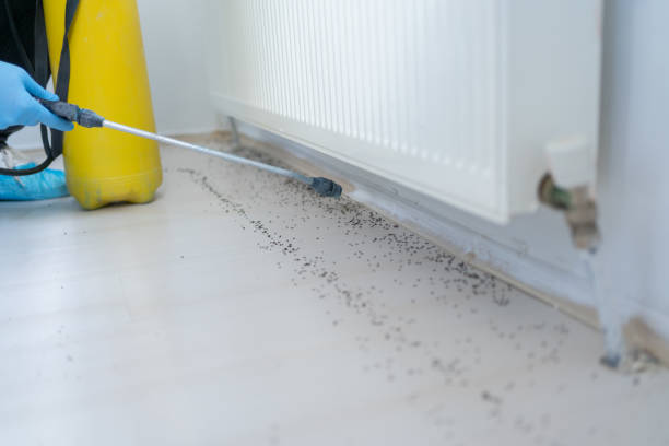 Best Best Pest Control Companies  in Clendenin, WV