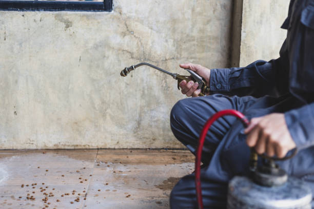 Best Residential Pest Control  in Clendenin, WV